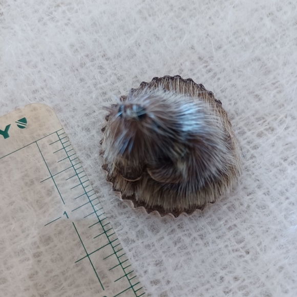 Vintage  fur Groundhog  brooch - Picture 5 of 5